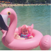 Flamingo & Swan Swimming Ring
