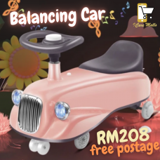 Balancing Car