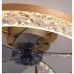 Ceiling fan with lights 