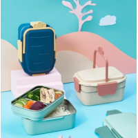 2 Layer Carrot Student Lunch Box