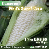 Cameron White Sweet Corn